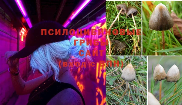 прущая мука Киренск