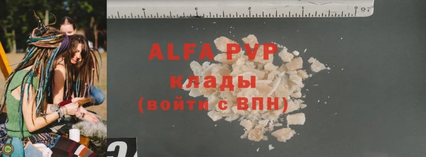 индика Киреевск