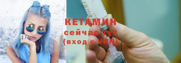 индика Киреевск