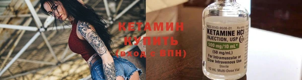 индика Киреевск