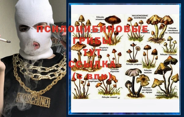 альфа пвп Кинешма