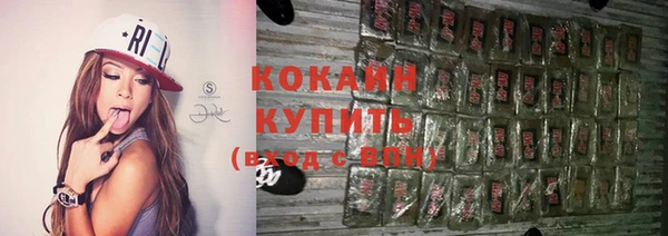 индика Киреевск